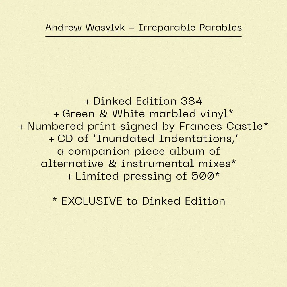 Andrew Wasylyk Irreparable Parables Vinyl LP 2026 Ltd Dinked Edition #385 - Image 2