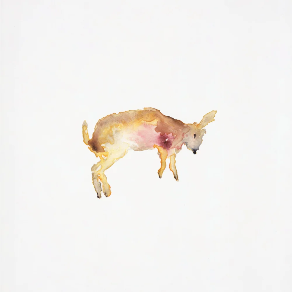 Charbel Haber May a soft sun bless your sky while you wait for the inevitable Vinyl LP Due Out 08/05/26