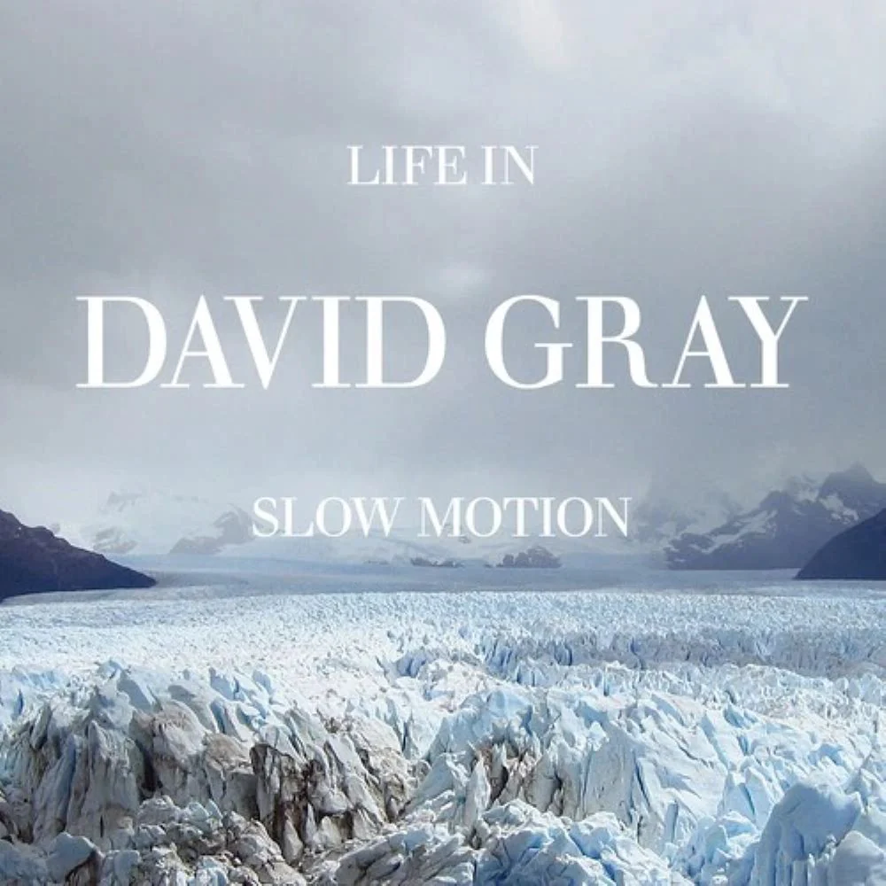 David Gray Life In Slow Motion (20th Anniversary Edition) Vinyl LP 2025