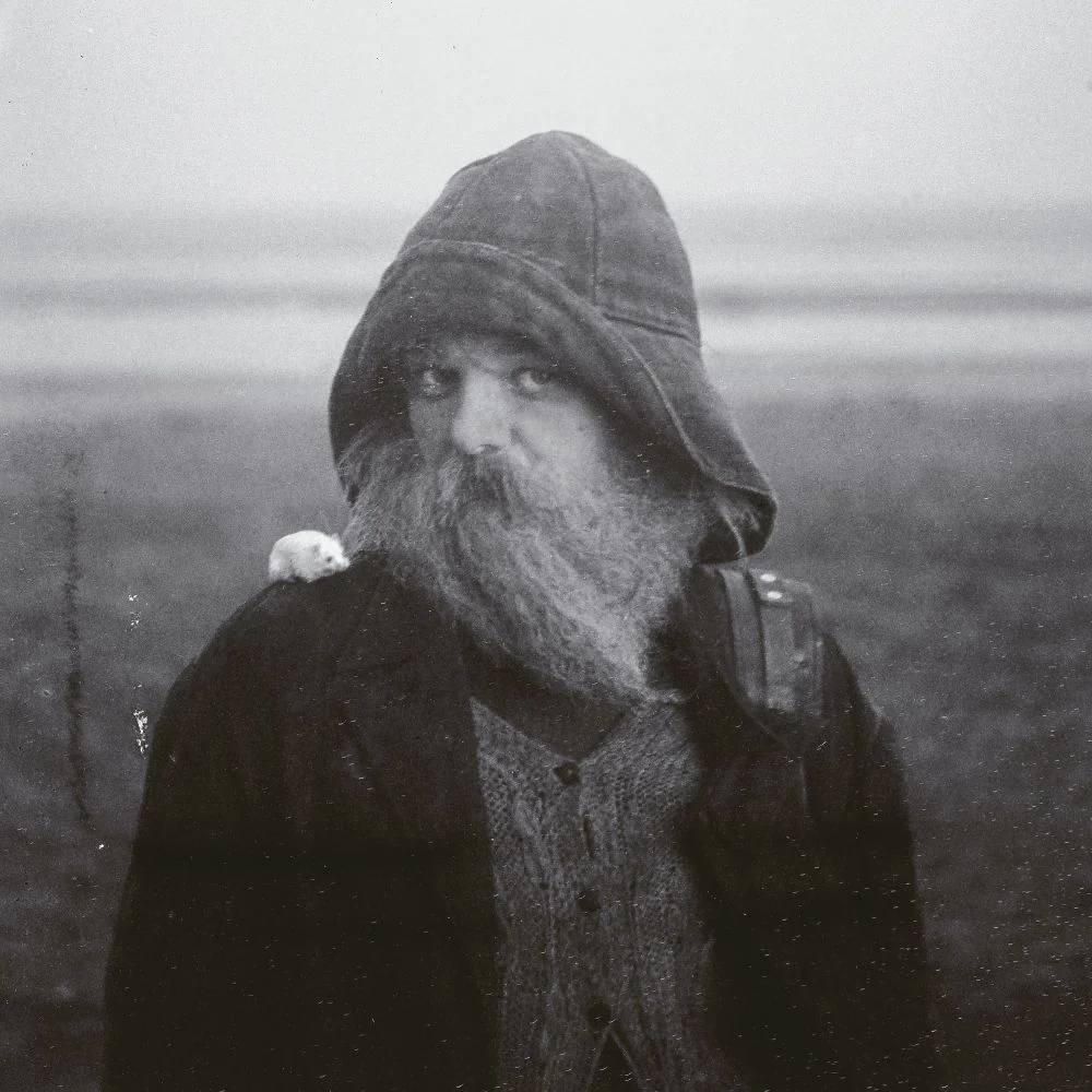 mary in the junkyard Role Model Hermit CD Due Out 03/07/26