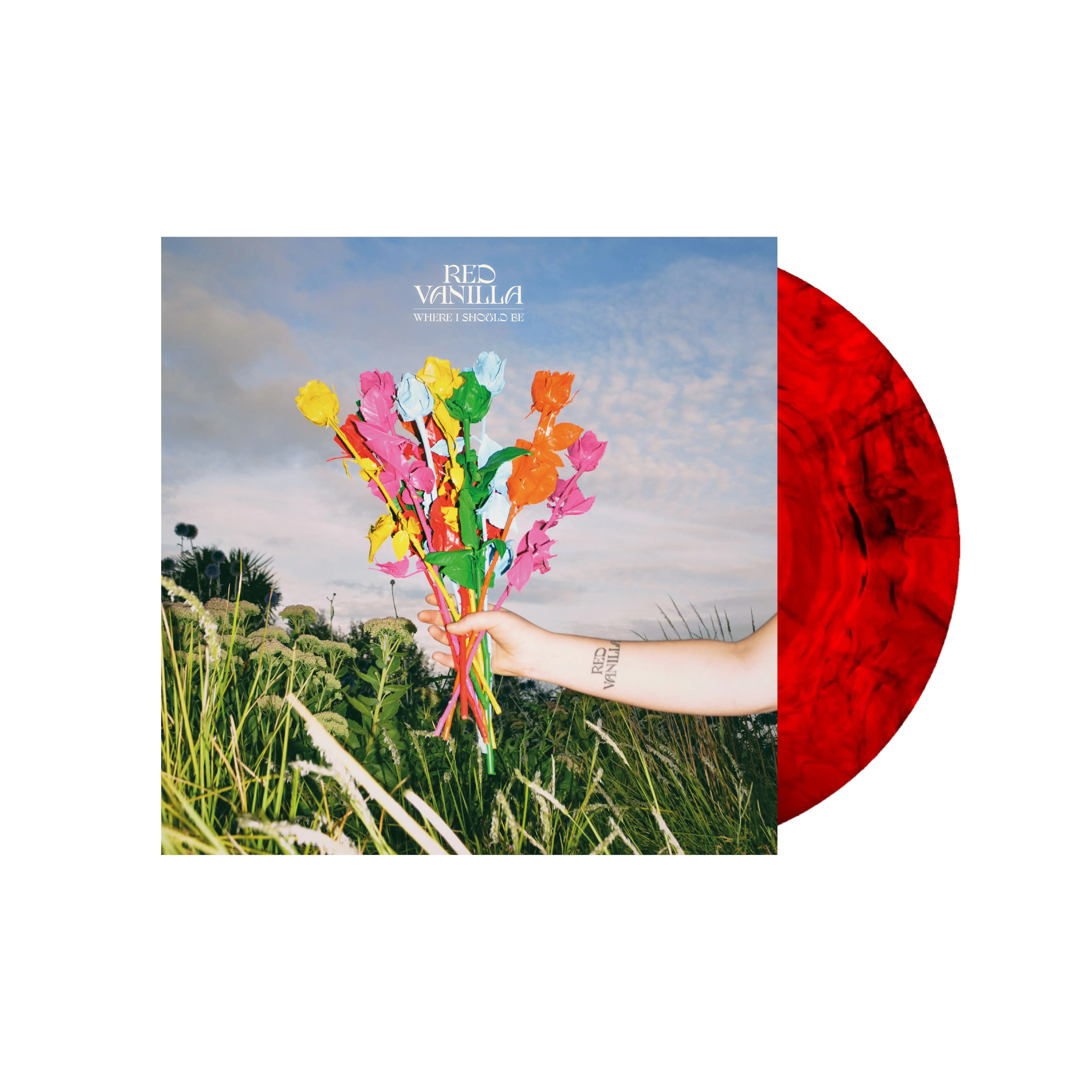 Red Vanilla Where I Should Be Vinyl LP 2026 - Image 2