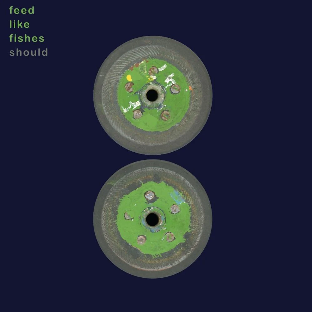 Should Feed Like Fishes Vinyl LP 2026