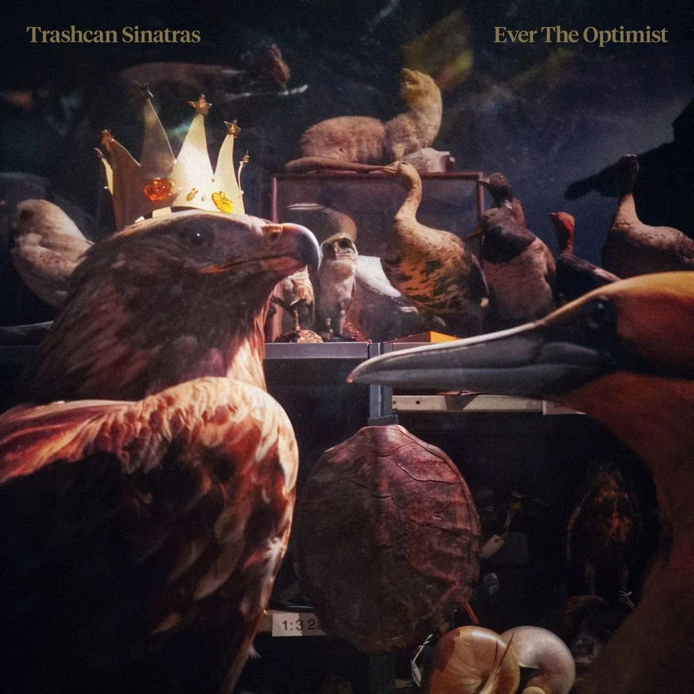 Trashcan Sinatras Ever The Optimist Vinyl LP Kingfisher Blue Colour + 7" *Assai Exclusive* Due Out 31/07/26 - Image 2